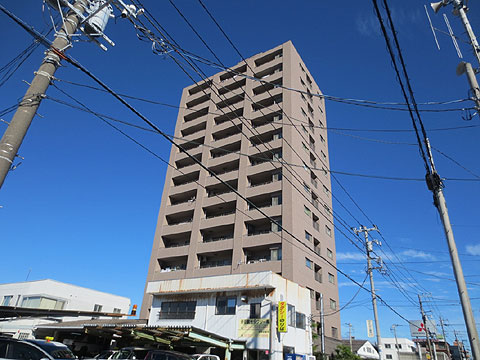 現地外観写真　建物外観（南東側）