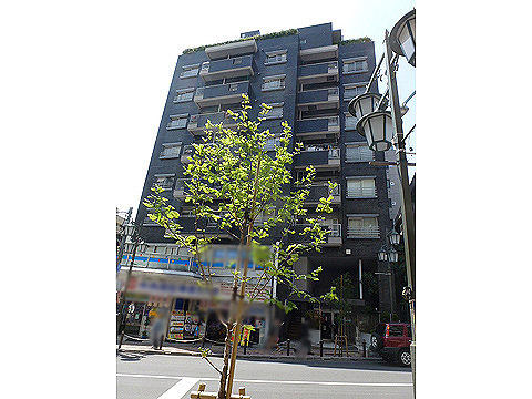 その他共用部　外観2