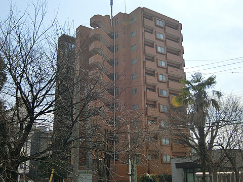 現地外観写真　柿川沿いの緑を楽しむことが出来ます