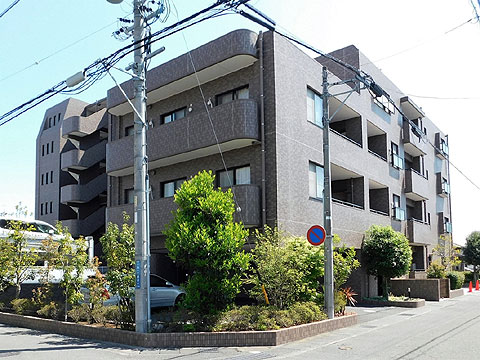 現地外観写真　建物外観