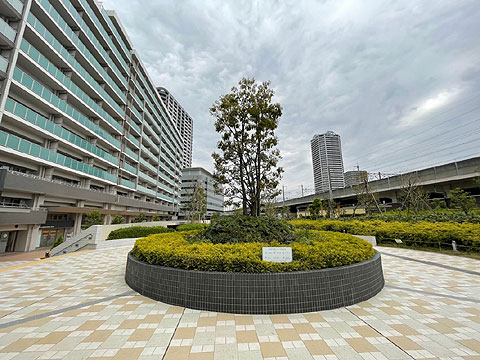 現地外観写真　前面公園