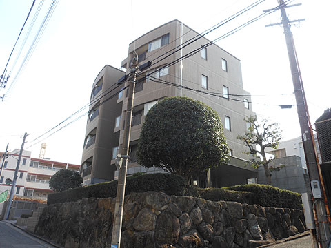 現地外観写真　外観写真（別アングル）