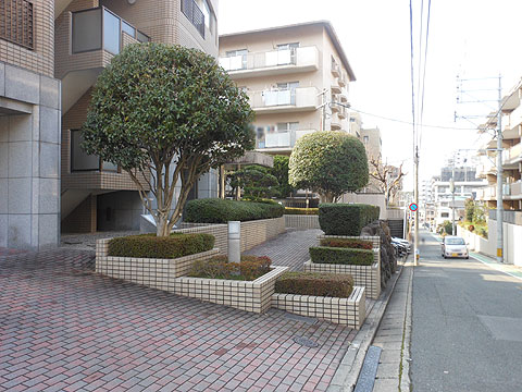 現地外観写真　外観写真（別アングル）