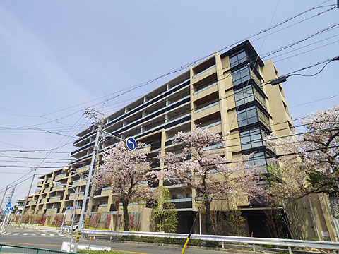 現地外観写真　桜の季節