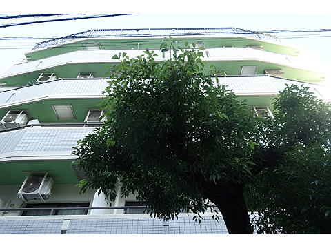 現地外観写真　DSC03444