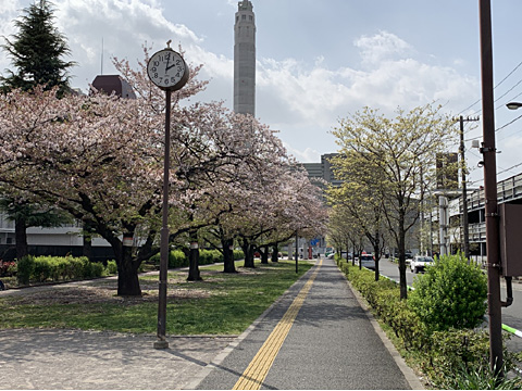 現地土地写真　志茂東公園