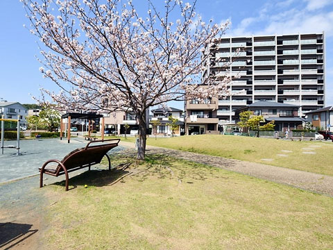 現地外観写真　曲金ふれあい公園から