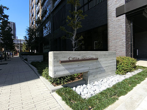 エントランス　　現地エントランス