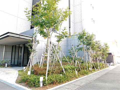 その他共用部　植栽