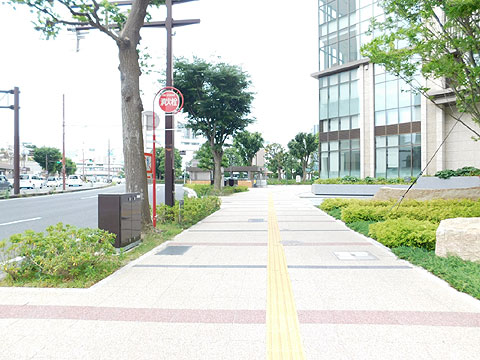 現地土地写真　前面道路