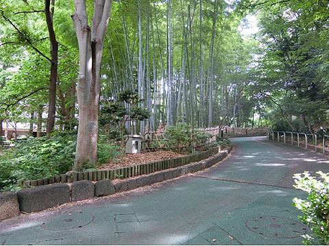 その他共用部　サンシティ敷地内遊歩道