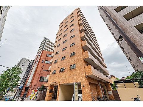 現地外観写真 外観