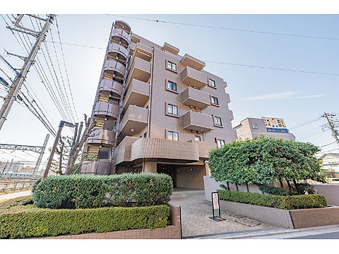 現地外観写真 外観