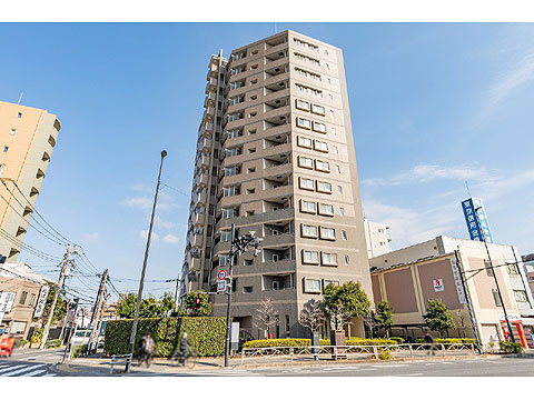 現地外観写真 外観