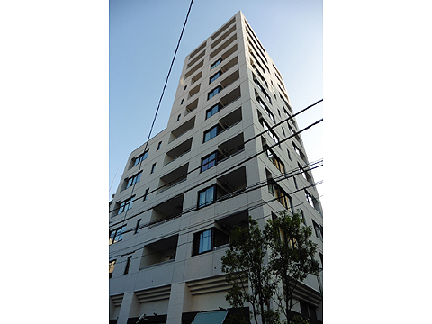 現地外観写真 外観