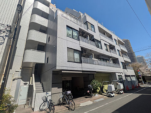 現地外観写真　PXL_20260403_032255793