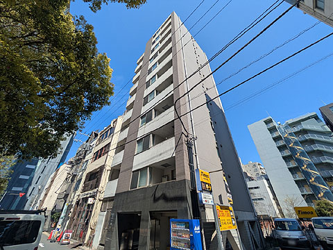 現地外観写真　PXL_20260403_041305023