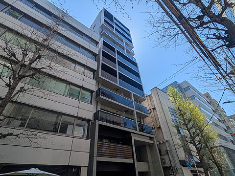 現地外観写真　PXL_20260403_030702598