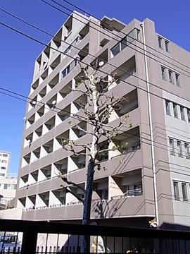 その他共用部　外観2