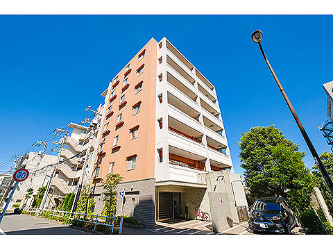 現地外観写真 外観4