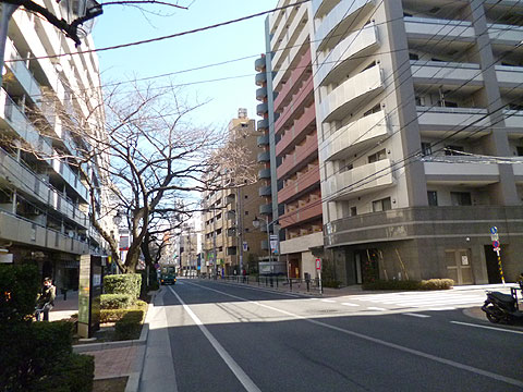 現地外観写真　千川通り