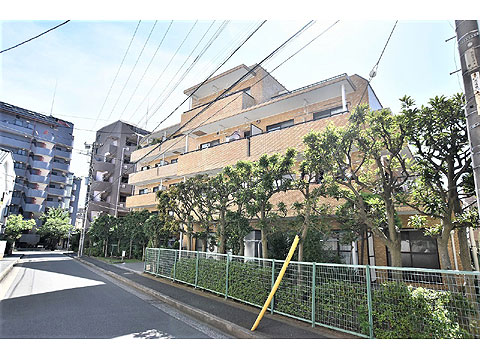 現地外観写真　外観