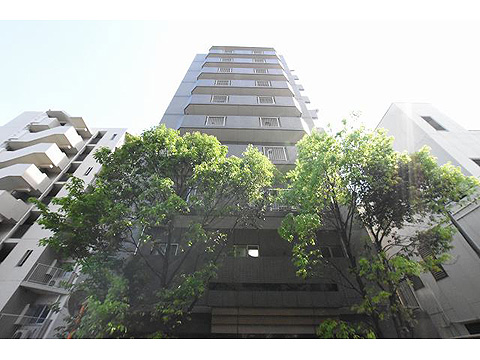 現地外観写真　２００４年６月完成のマンションです。