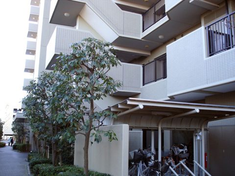 その他共用部　外観5