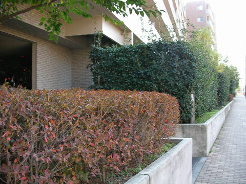 その他共用部　写真２