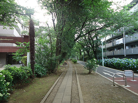 現地外観写真　建物北側の緑道