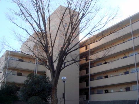 その他共用部　外観4