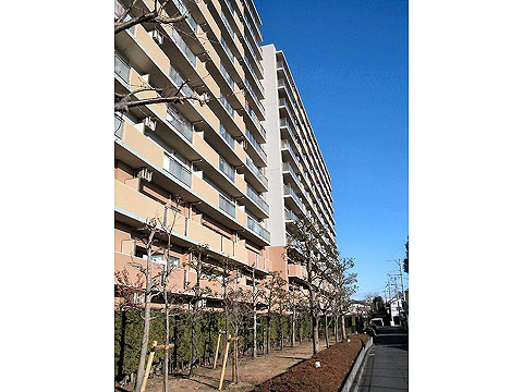 その他共用部　外観4