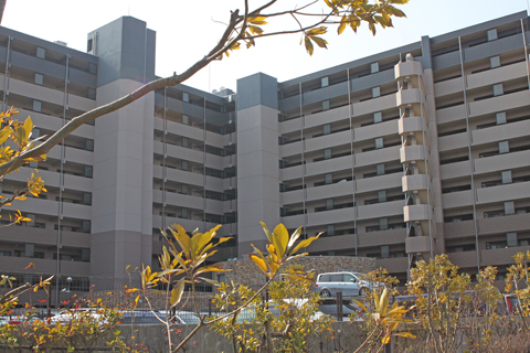 その他共用部　外観7