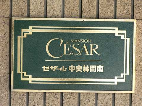 その他共用部　写真1