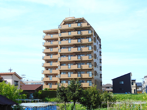 現地外観写真　南側外観