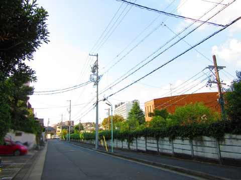 現地土地写真　前面道路