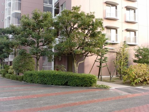 その他共用部　外観6