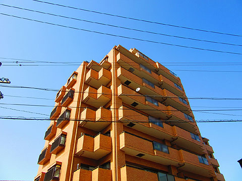 現地外観写真　建物外観（南西側）