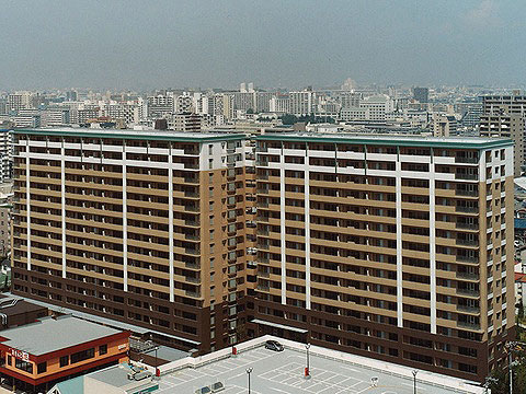 現地外観写真 外観