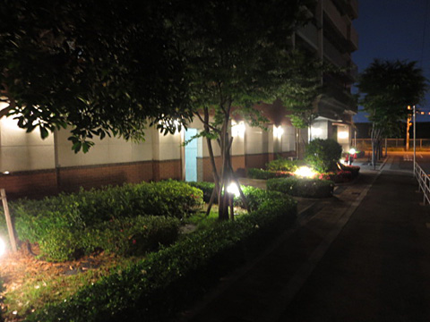 現地土地写真　