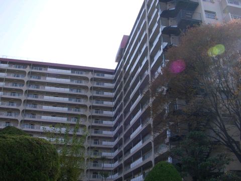 その他共用部　外観6
