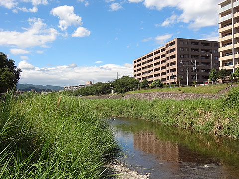 駐車場　外観写真