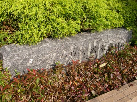 その他共用部　写真１