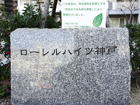その他共用部　写真1