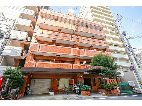 現地外観写真 外観