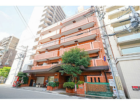 現地外観写真 外観