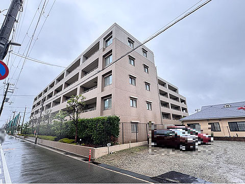 現地外観写真 南東側から撮影