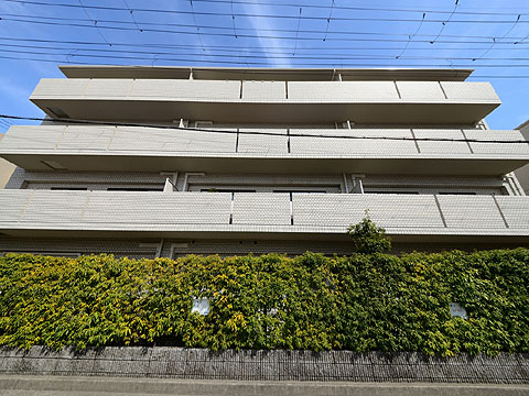 現地外観写真　DSC_1451
