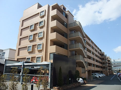 現地外観写真　開放廊下側の建物外観