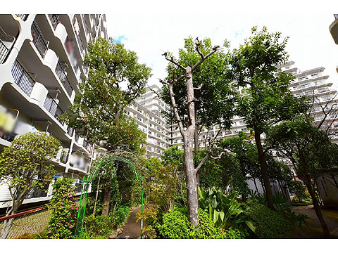 現地外観写真 DSC_0066